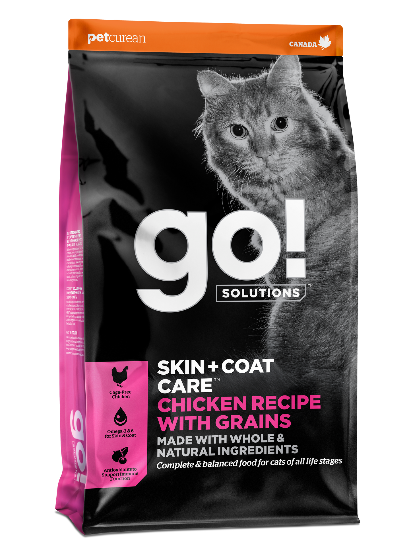 Go! Skin + Coat Care Chicken Recipe With Grains for Cats