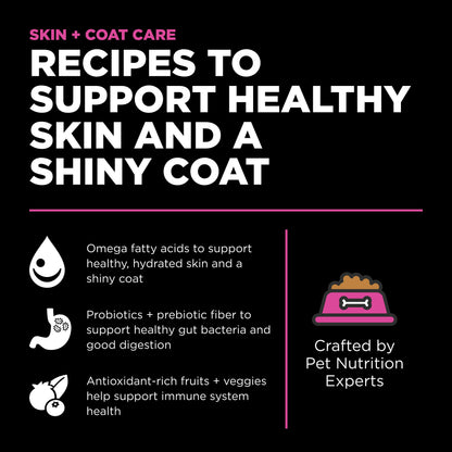 Go! Skin + Coat Care Chicken Recipe With Grains for Cats