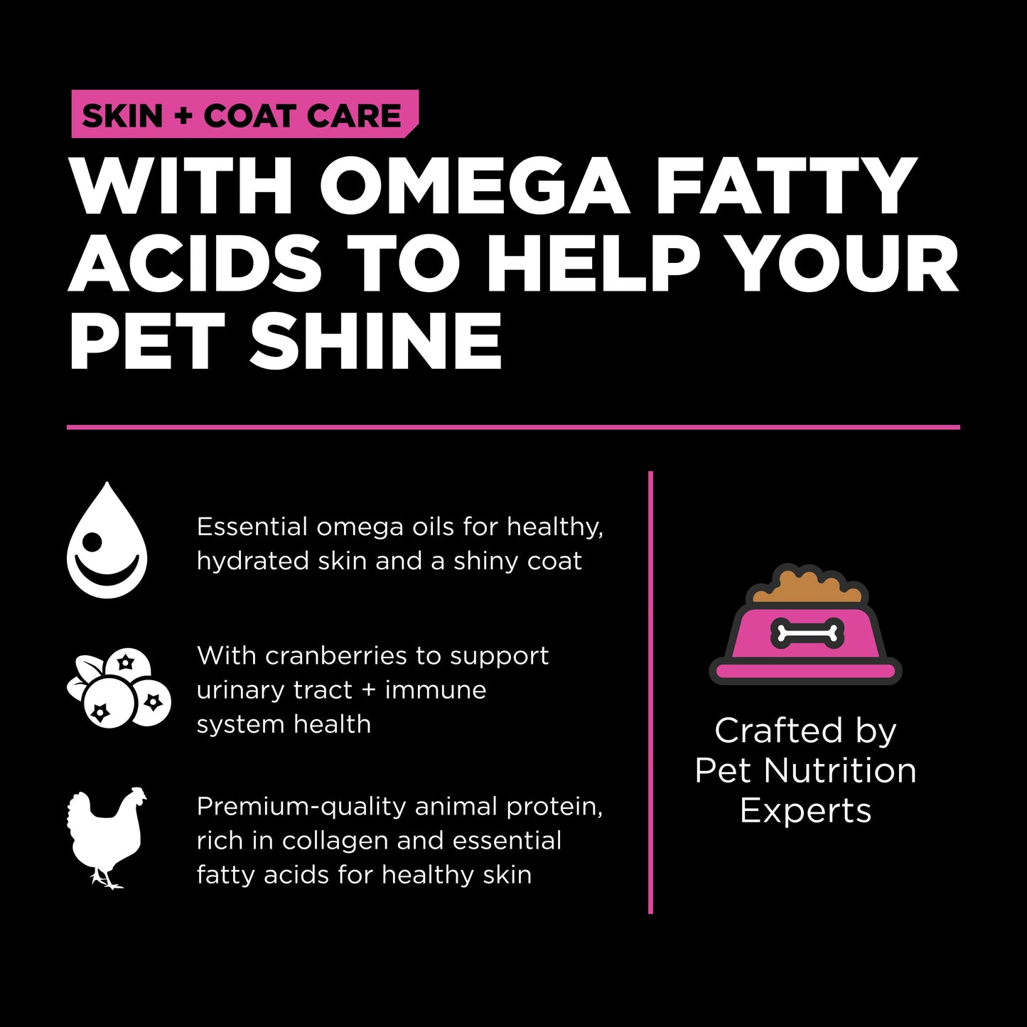 Go! Skin + Coat Care Chicken Recipe With Grains for Cats