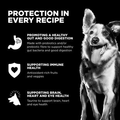 Go! Sensitivities Limited Ingredient Grain Free Salmon Dog Food