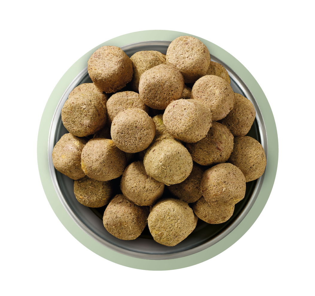 Natures Menu Raw Freeze Dried Complete and Balanced Adult Lamb Dry Dog Food