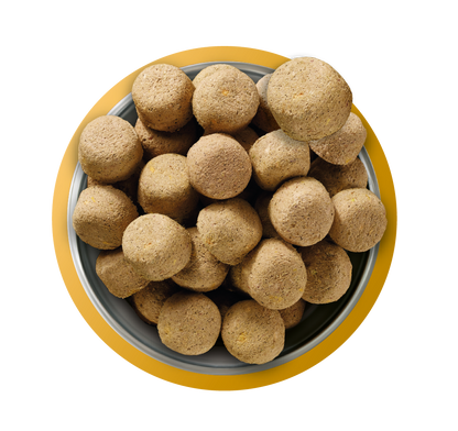 Natures Menu Raw Freeze Dried Complete and Balanced Adult Chicken Dry Dog Food