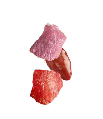 Natures Menu Raw Freeze Dried Lamb Bites Dog Treats