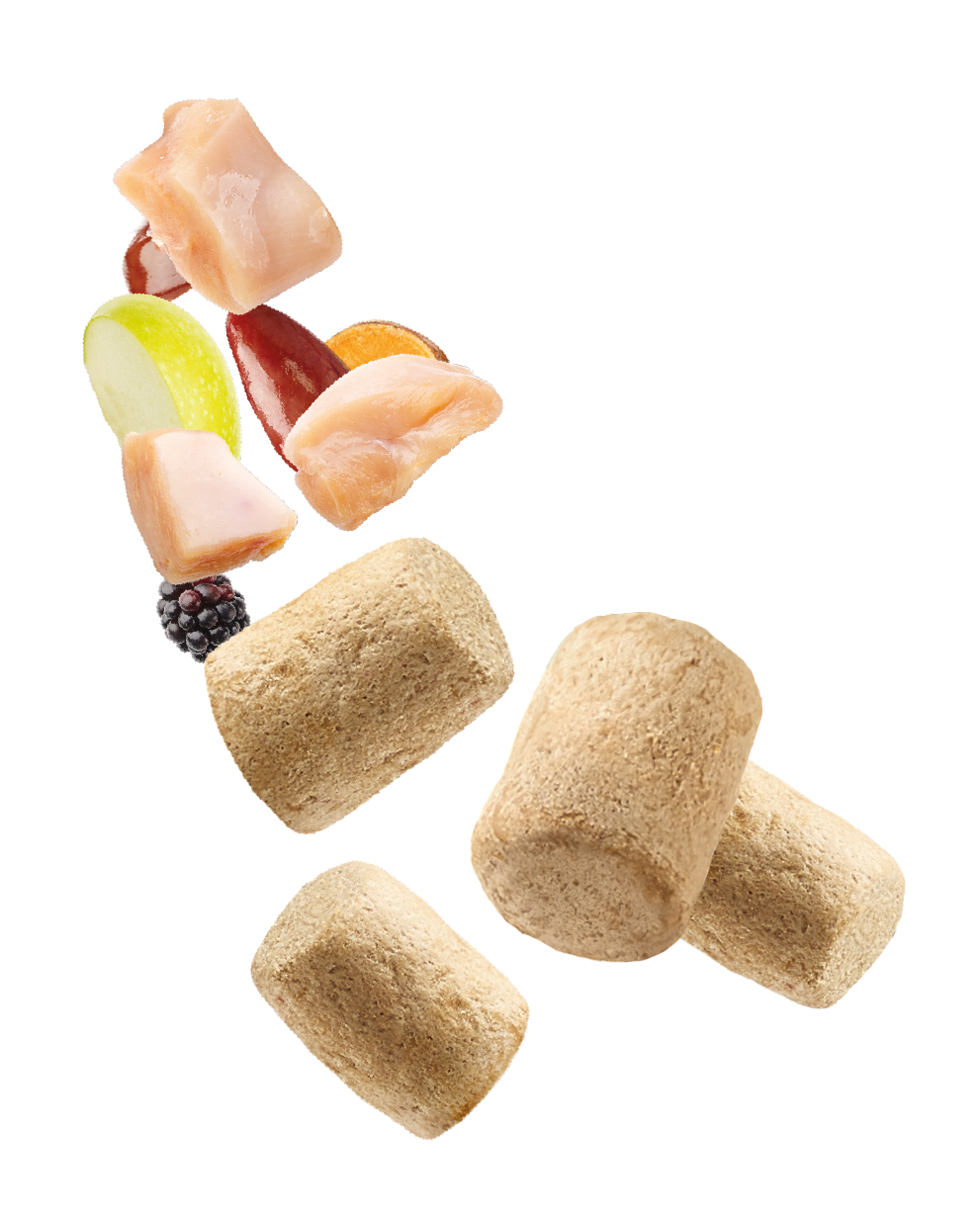 Natures Menu Raw Freeze Dried Chicken Toppers Adult Dry Dog Food