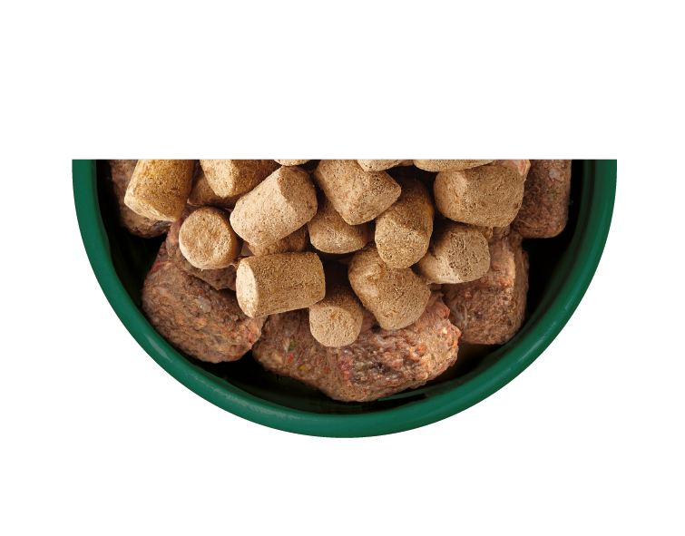Natures Menu Raw Freeze Dried Lamb Toppers Adult Dry Dog Food