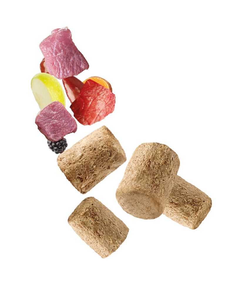 Natures Menu Raw Freeze Dried Lamb Toppers Adult Dry Dog Food