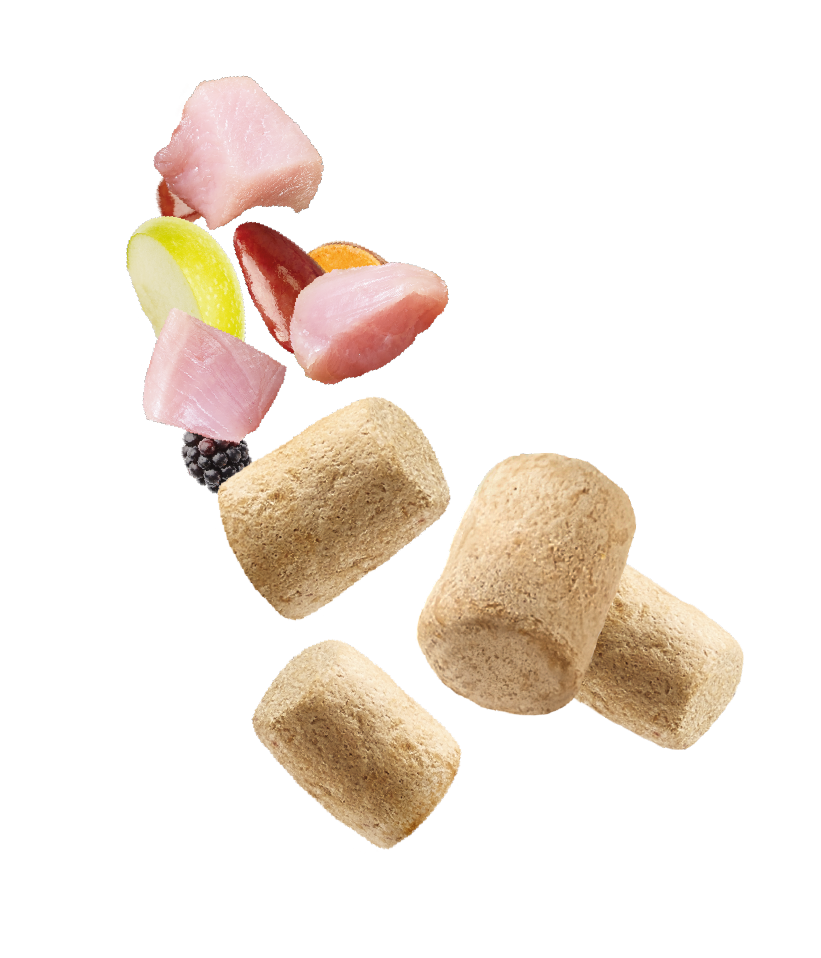 Natures Menu Raw Freeze Dried Turkey Toppers Adult Dry Dog Food