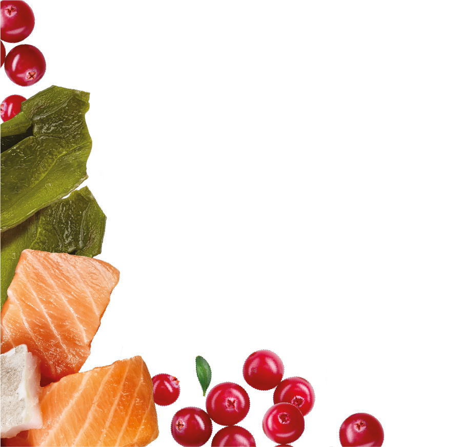 Natures Menu Country Hunter Superfood Bars - Salmon & White Fish Adult Dog Treats