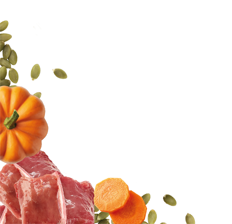 Natures Menu Country Hunter Superfood Bars - Duck Adult Dog Treats