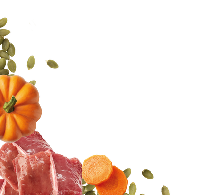 Natures Menu Country Hunter Superfood Bars - Duck Adult Dog Treats