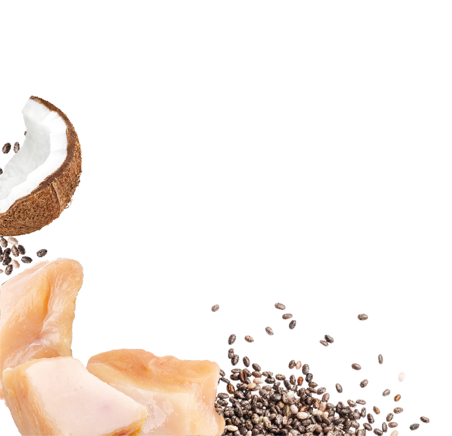 Natures Menu Country Hunter Superfood Bars - Chicken Adult Dog Treats