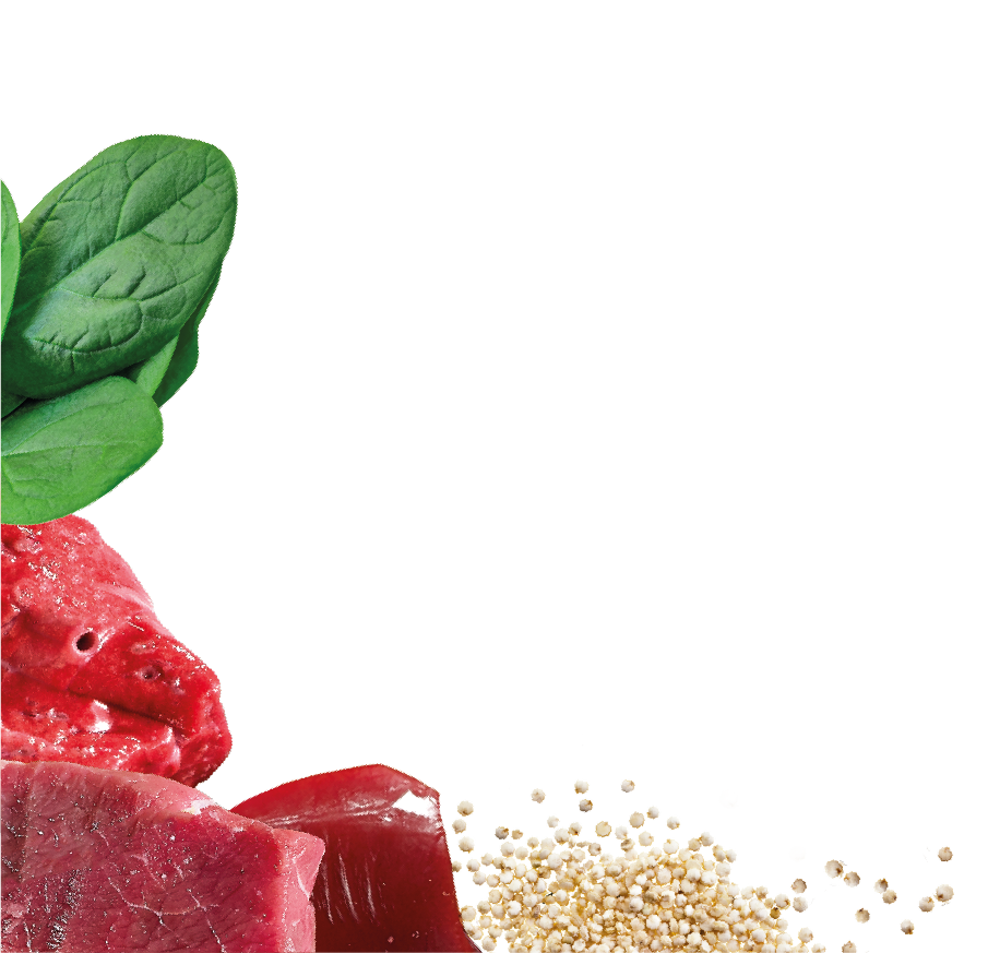 Natures Menu Country Hunter Superfood Bars - Beef Adult Dog Treats