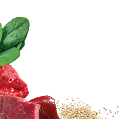 Natures Menu Country Hunter Superfood Bars - Beef Adult Dog Treats