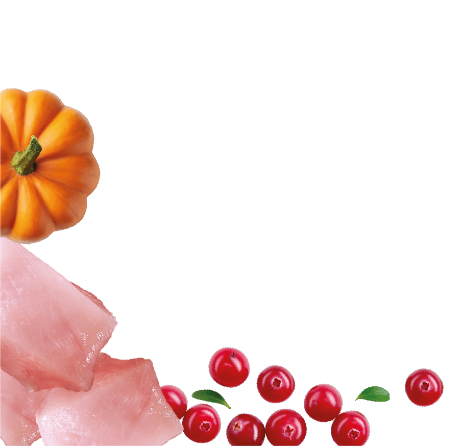 Natures Menu Country Hunter Superfood Bars - Turkey Adult Dog Treats