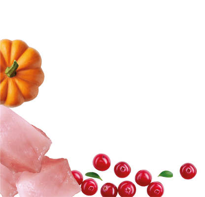 Natures Menu Country Hunter Superfood Bars - Turkey Adult Dog Treats