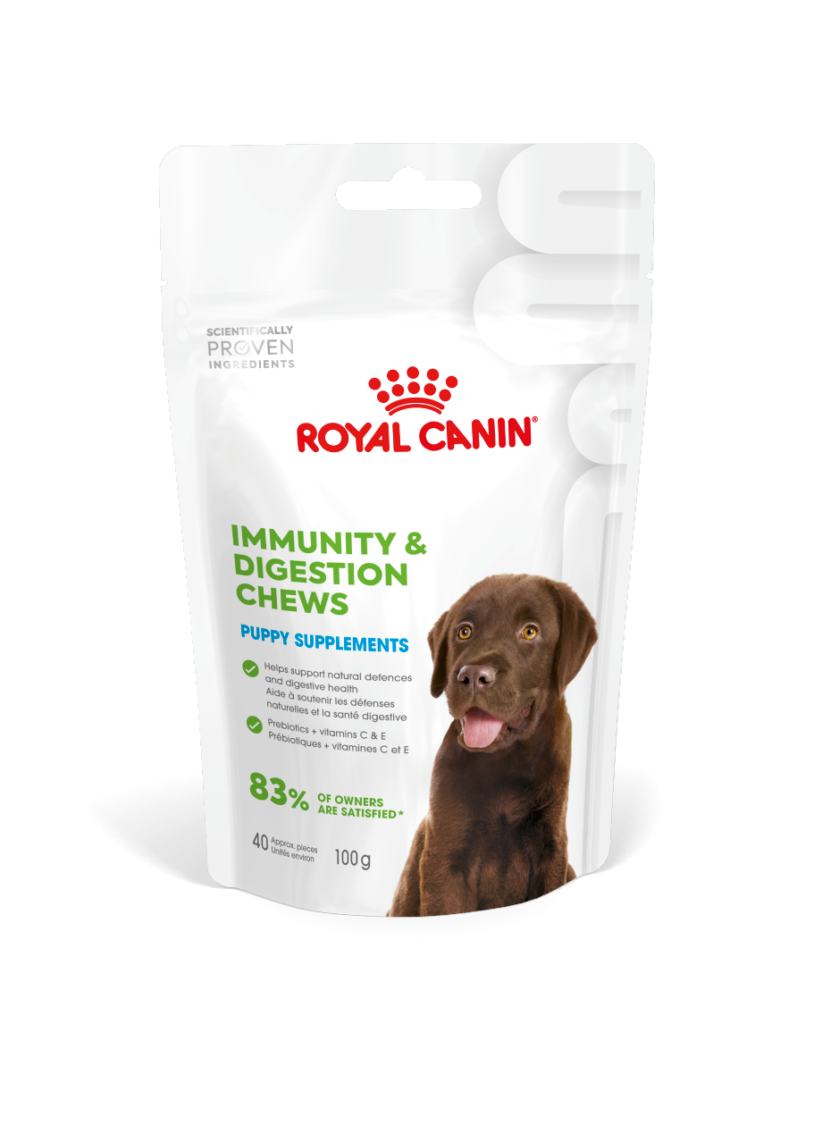 Royal Canin Immunity & Digestion Supplements Packshot