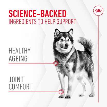 Royal Canin Joint & Ageing Supplements product details image