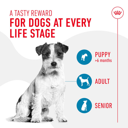 Royal Canin Dog Training Treats product details image