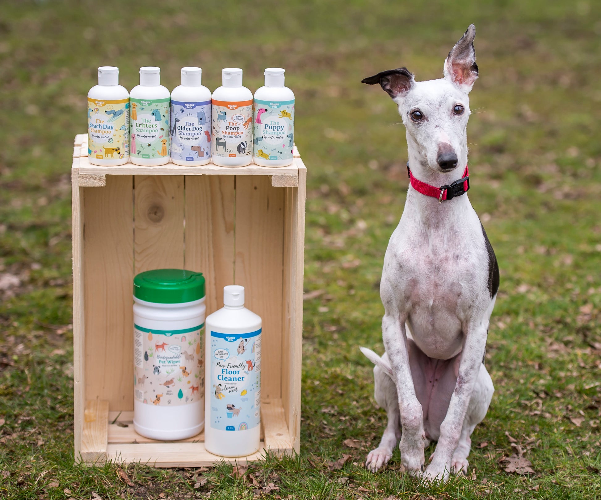 Lifestyle View of Nilaqua Pets The Critters Towel Off Dog Shampoo