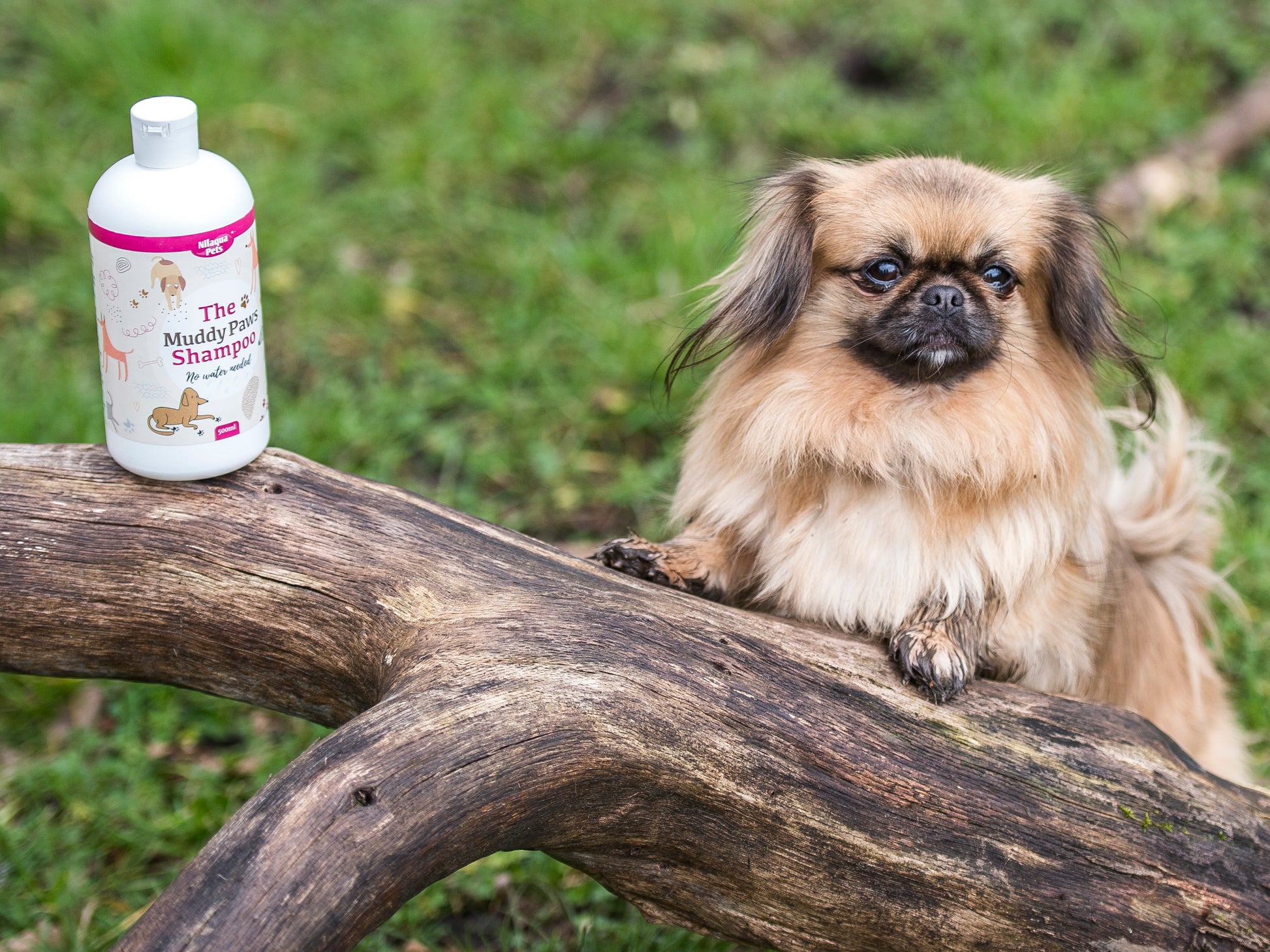 Lifestyle View of Nilaqua Pets The Muddy Paws Towel Off Dog Shampoo