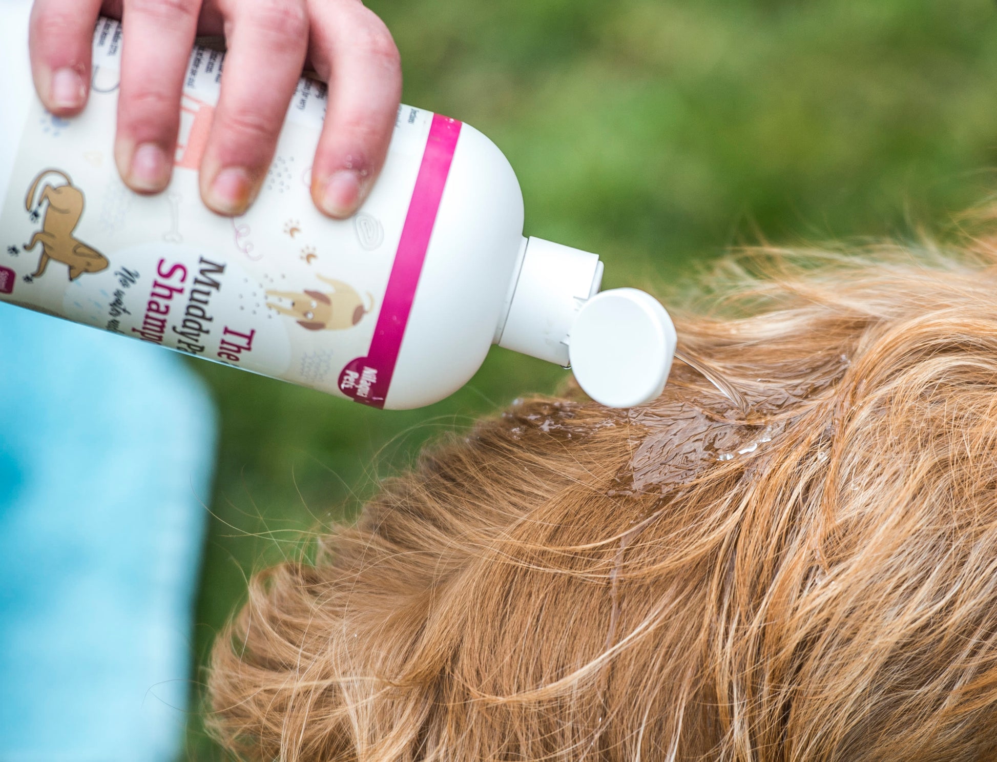 Lifestyle View of Nilaqua Pets The Muddy Paws Towel Off Dog Shampoo