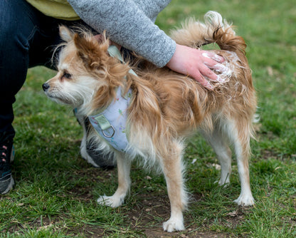 Lifestyle View of Nilaqua Pets The Muddy Paws Towel Off Dog Shampoo