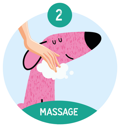 Nilaqua Pets The Poop Shampoo