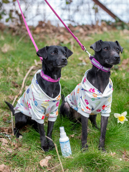 Lifestyle View of Nilaqua Pets Baby Fresh Dog Cologne