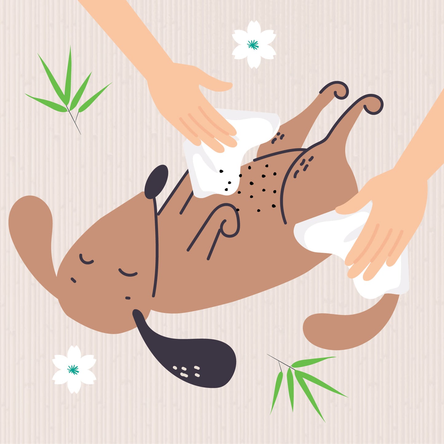 Nilaqua Pets Biodegradable Bamboo Pet Wipes