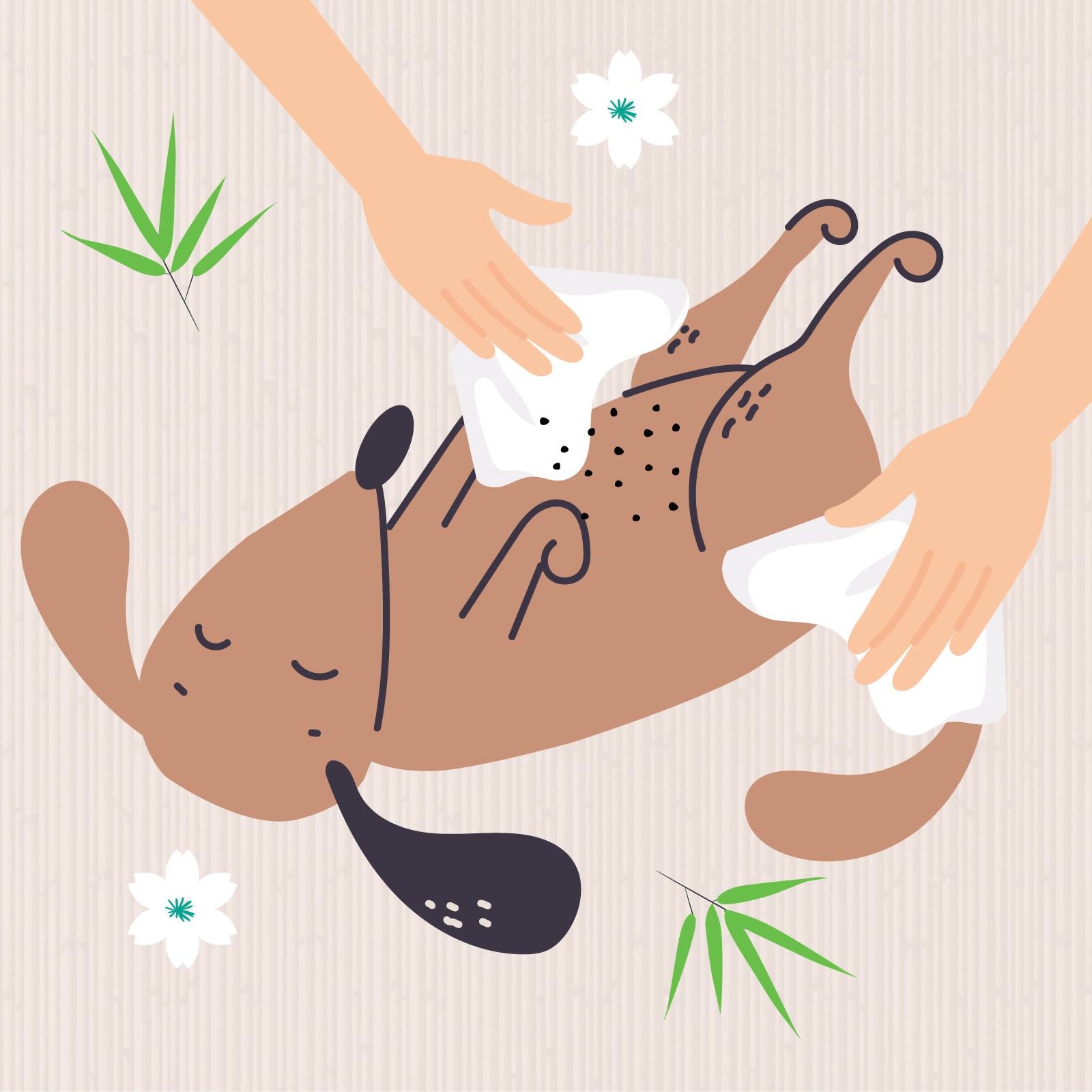 Nilaqua Pets Biodegradable Bamboo Pet Wipes