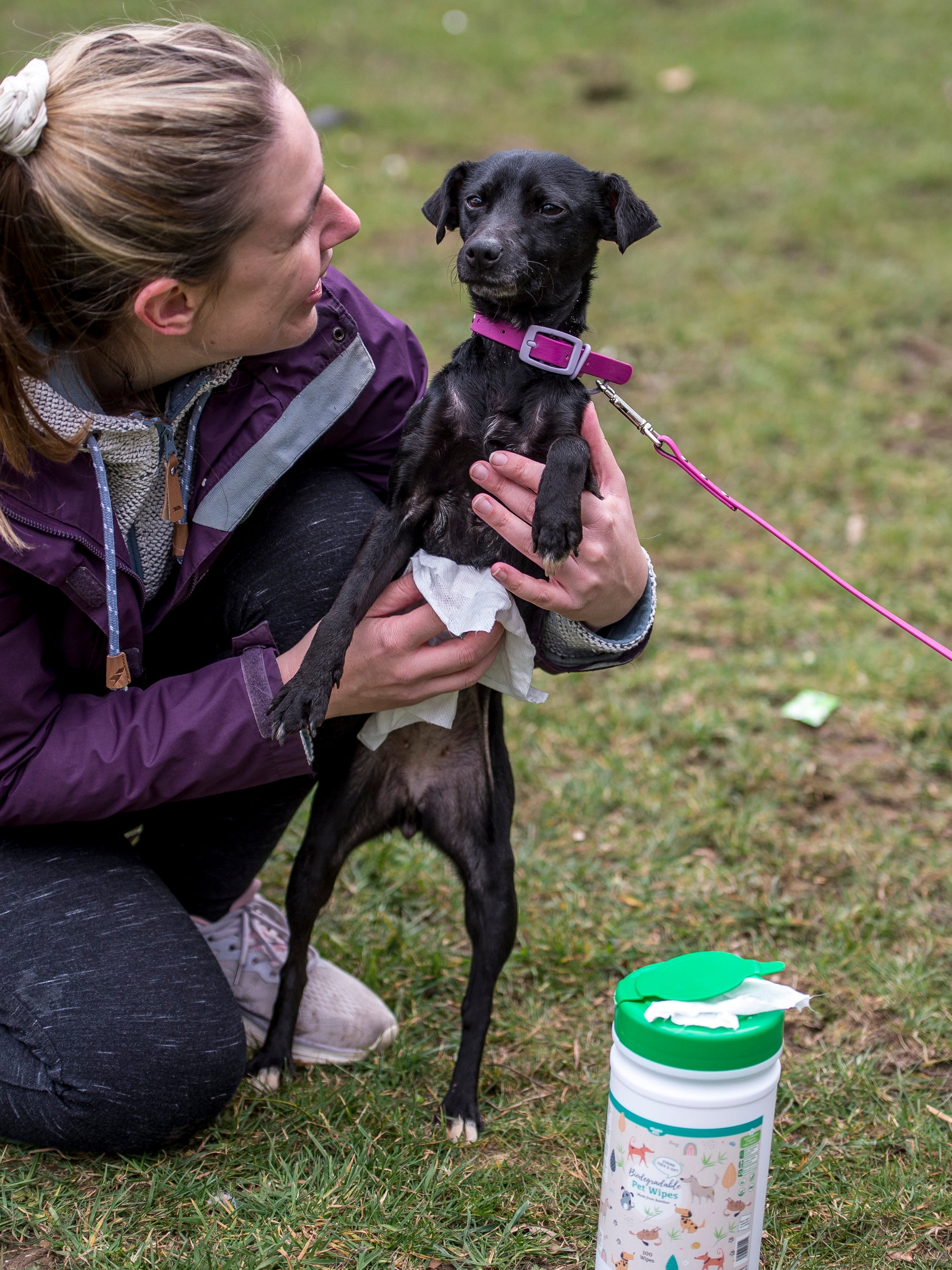 Lifestyle View of Nilaqua Pets Biodegradable Bamboo Pet Wipes