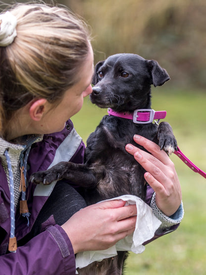 Lifestyle View of Nilaqua Pets Biodegradable Bamboo Pet Wipes