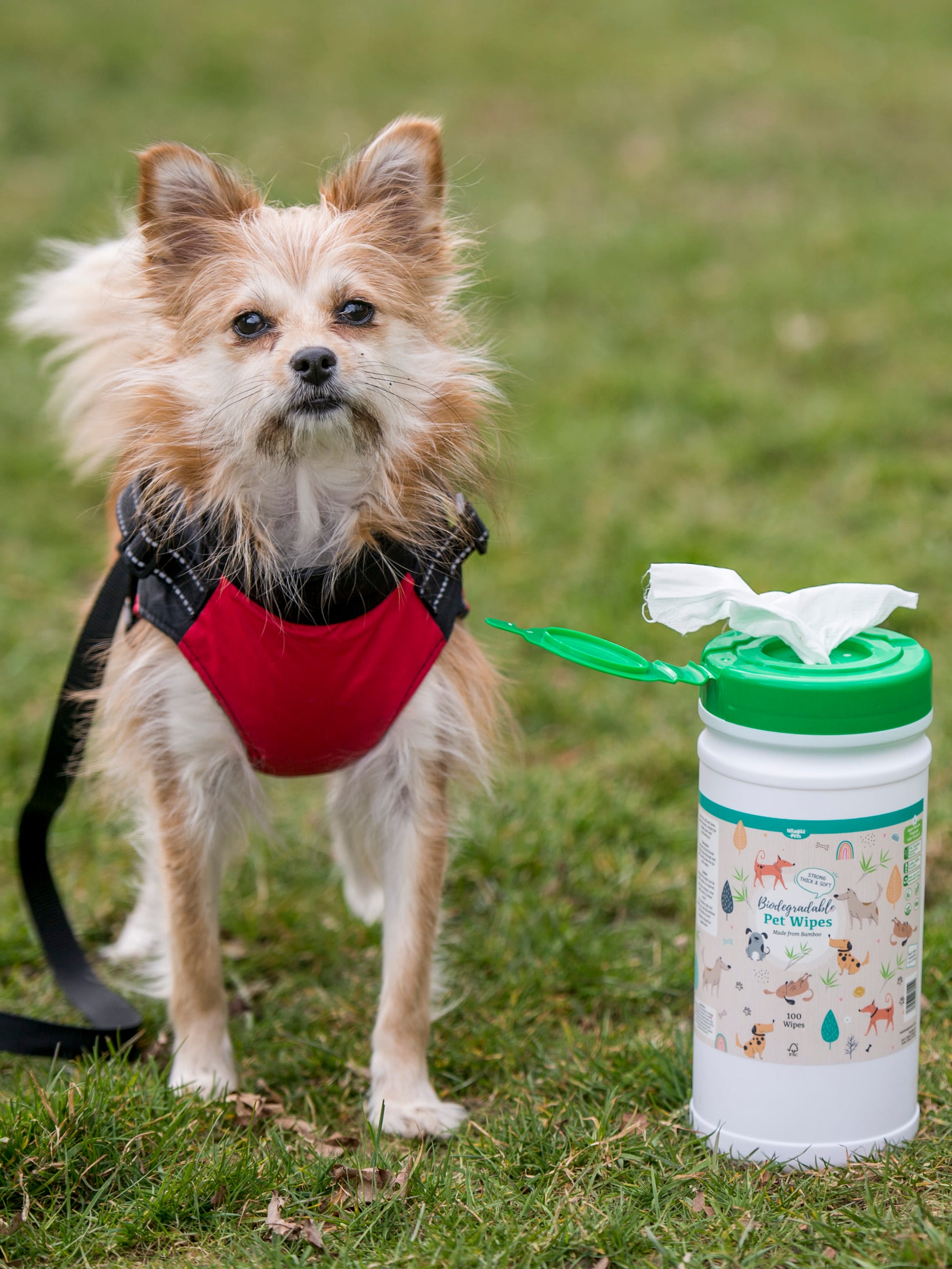 Lifestyle View of Nilaqua Pets Biodegradable Bamboo Pet Wipes