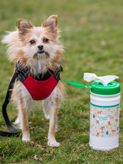 Lifestyle View of Nilaqua Pets Biodegradable Bamboo Pet Wipes