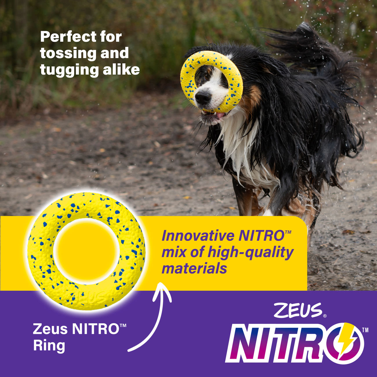 Zeus Nitro Ring Dog Toy