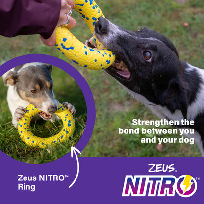 Zeus Nitro Ring Dog Toy