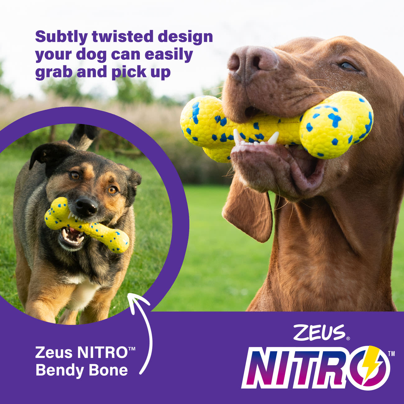 Zeus Nitro Bendy Bone Dog Toy