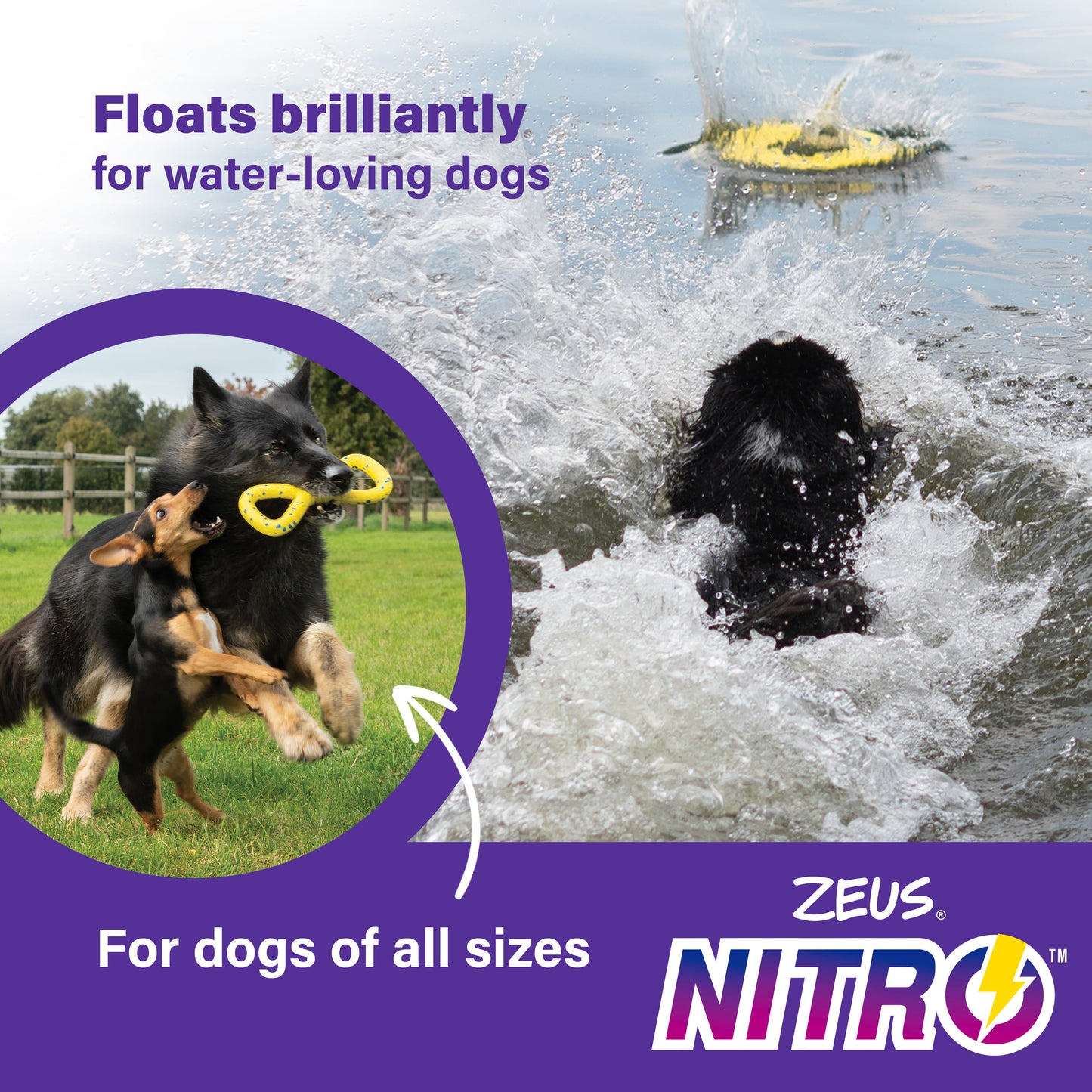 Zeus Nitro Flying Disc Dog Toy