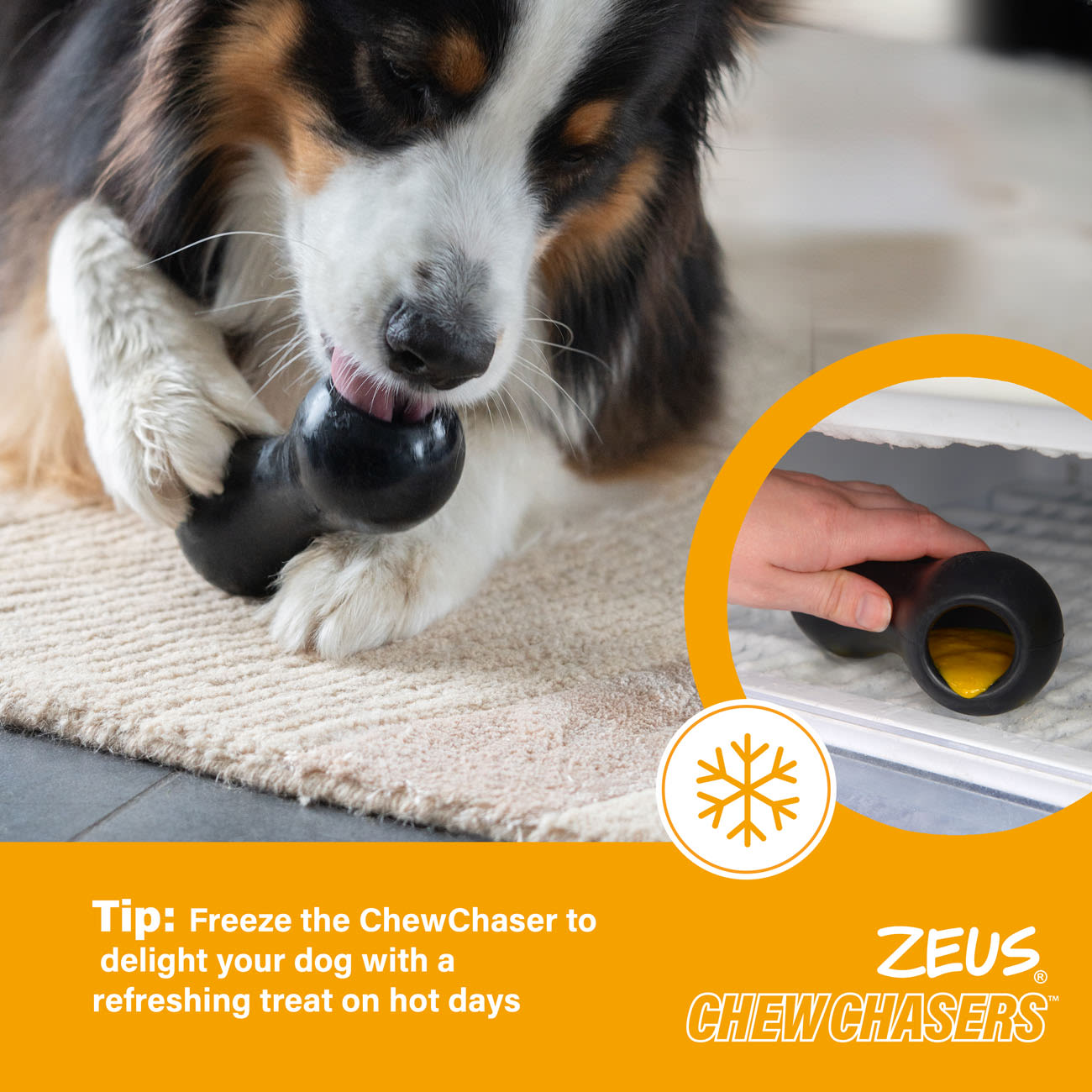 Zeus ChewChasers Treat Peanut Dog Toy