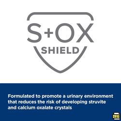 Hill’s Prescription Diet Gastrointestinal Biome Stress Stew with Chicken & Added Vegetables Can Wet Cat Food