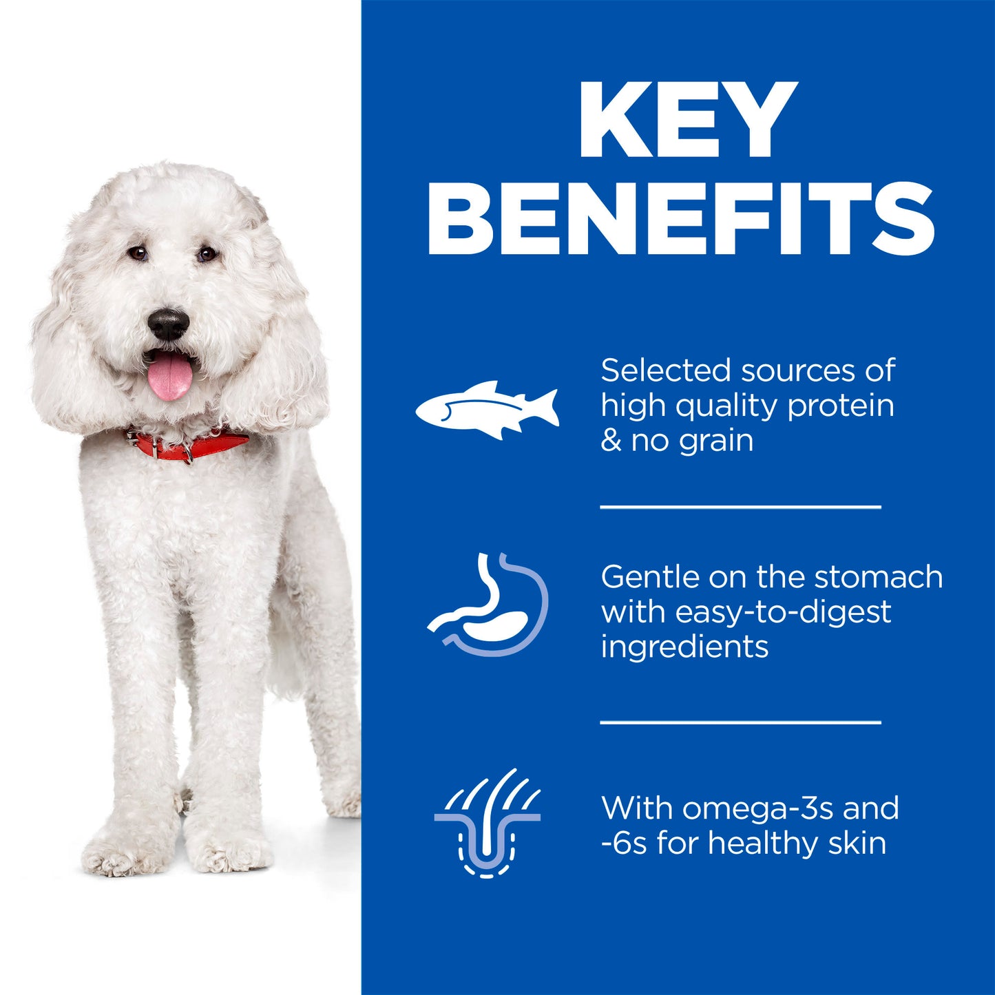 Hill's Science Plan Canine Adult Hypoallergenic with Salmon Wet Dog Food