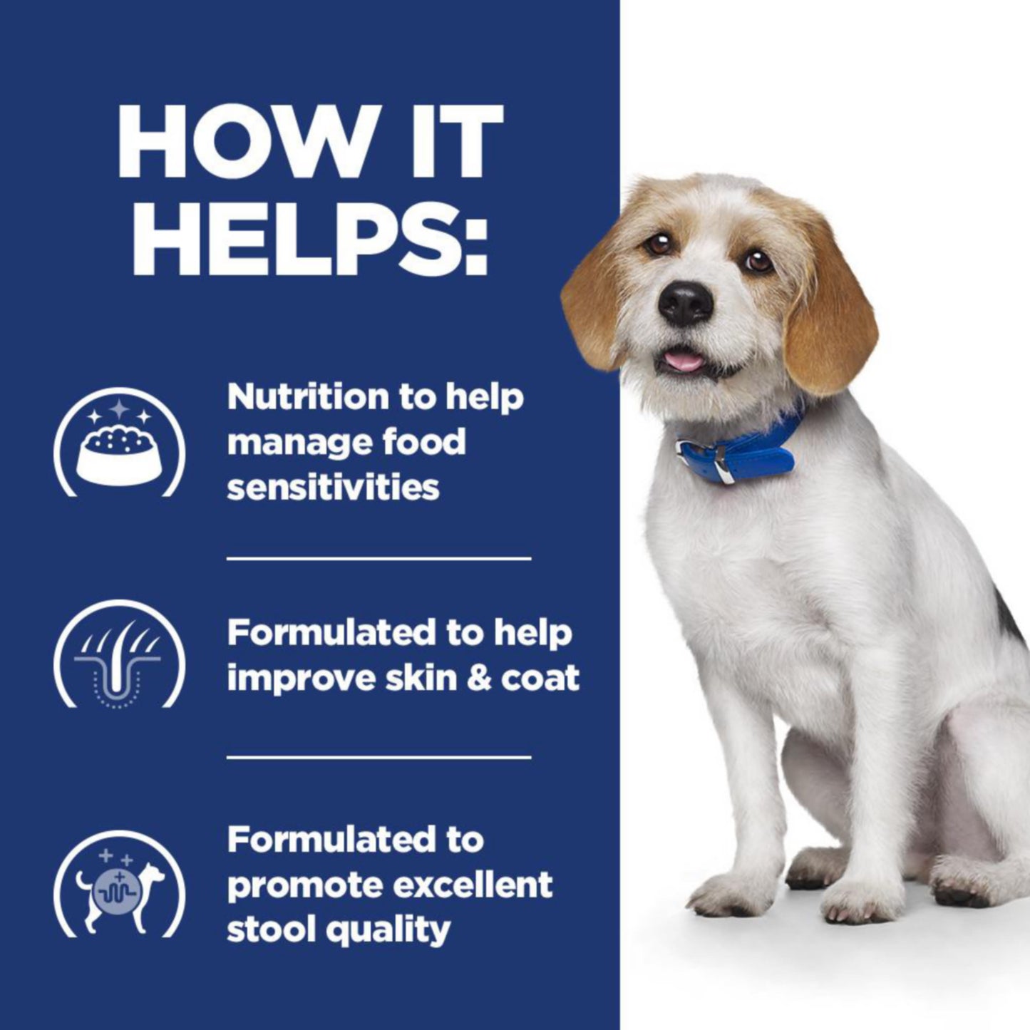 Hill's Prescription Diet z/d Low Fat Hydrolysed Soy Recipe Food Sensitivities Dry Dog Food