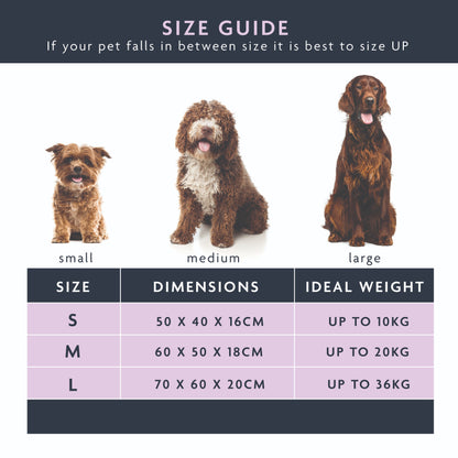 Dream Paws Soft Scalloped Blue Dog Bed