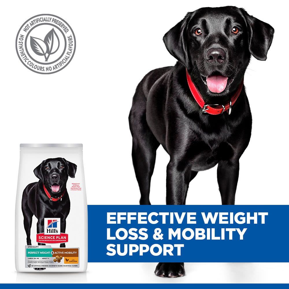 Hill's Science Plan Perfect Weight & Active Mobility Adult Large Dry Dog Food with Chicken - 12kg Bag