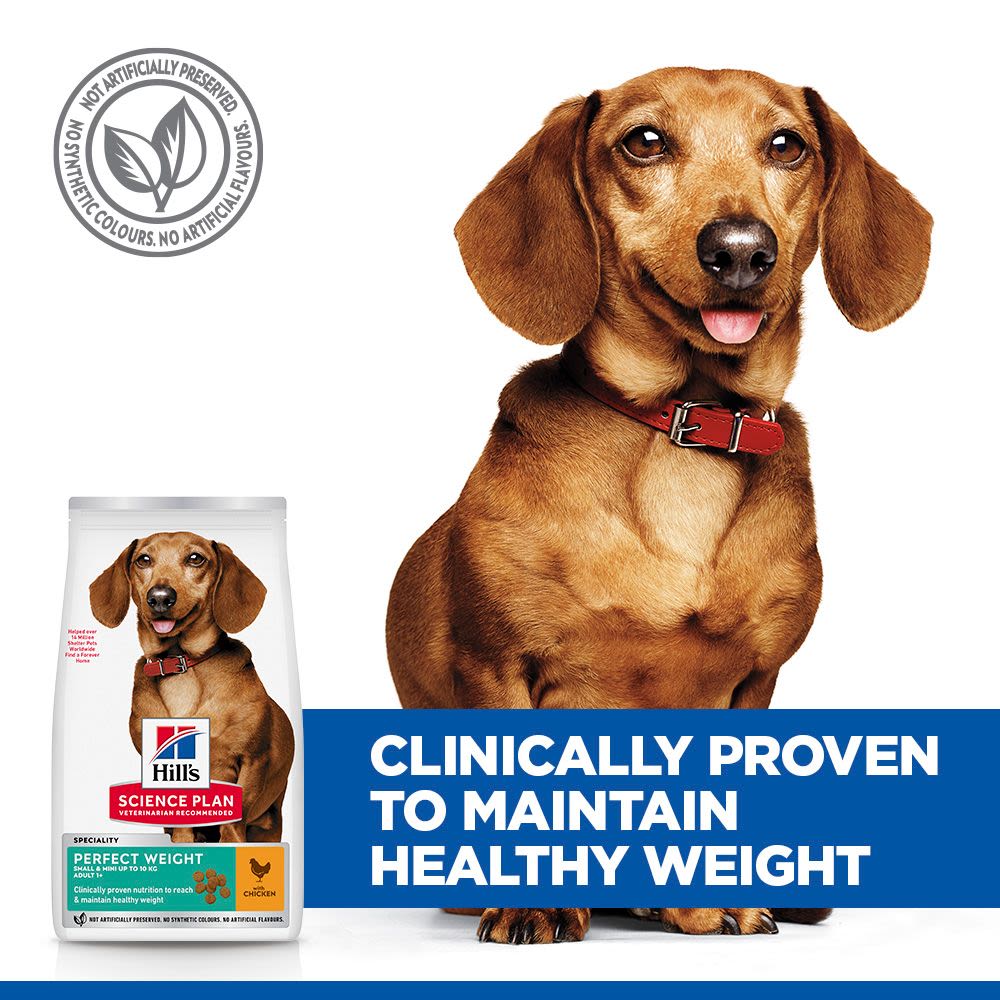 Hill's Science Plan Perfect Weight Adult Small & Mini Dry Dog Food with Chicken - 6kg