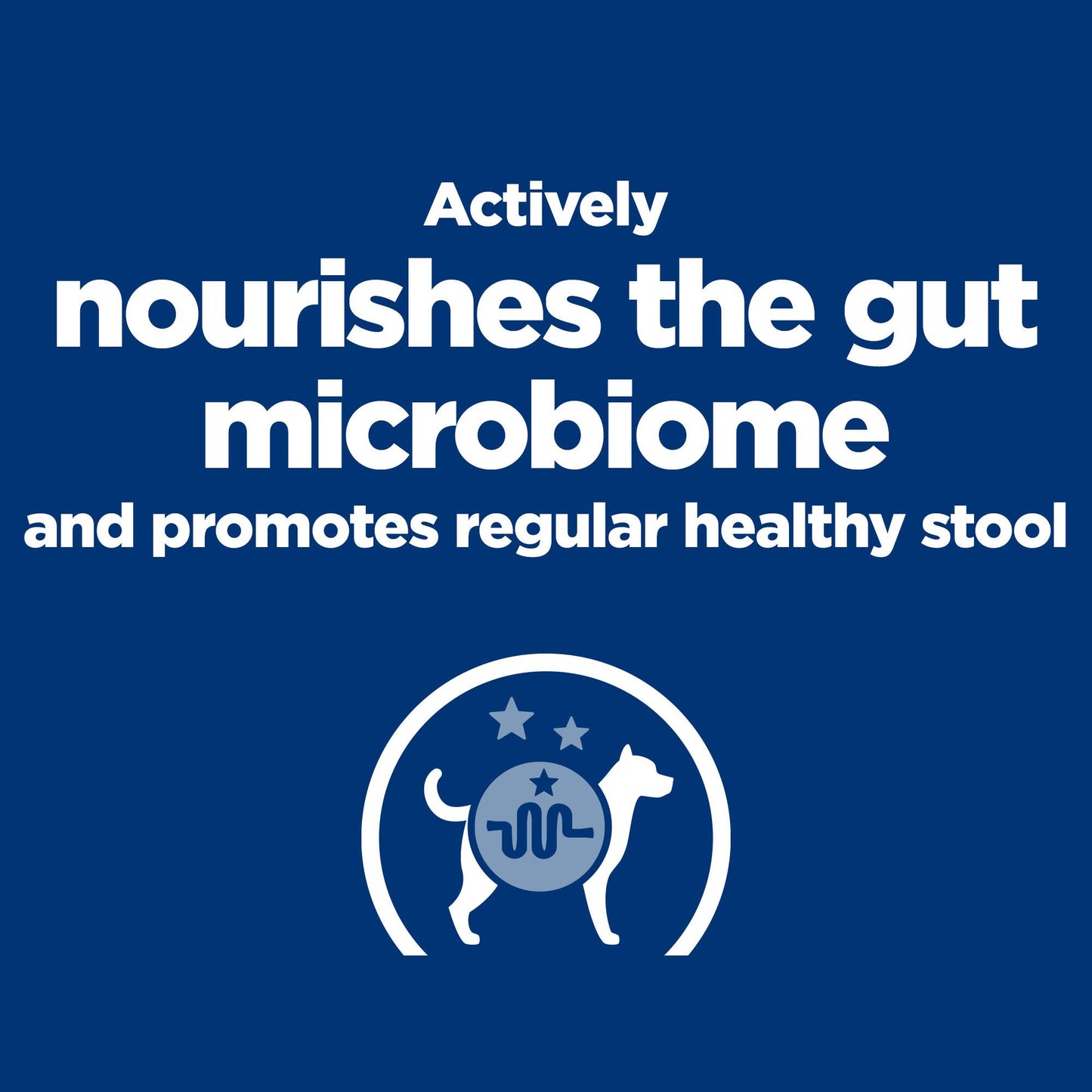 Hill’s Prescription Diet Gastrointestinal Biome Digestive/Fibre Care Mini Dry Dog Food with Chicken - 1kg Bag