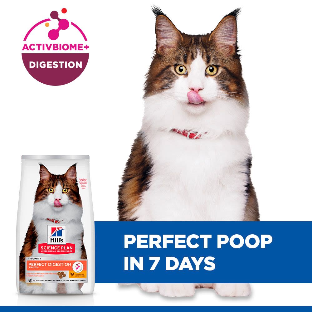 Hill's Science Plan Perfect Digestion Adult 1+ Dry Cat Food with Chicken & Brown Rice - 7kg Bag