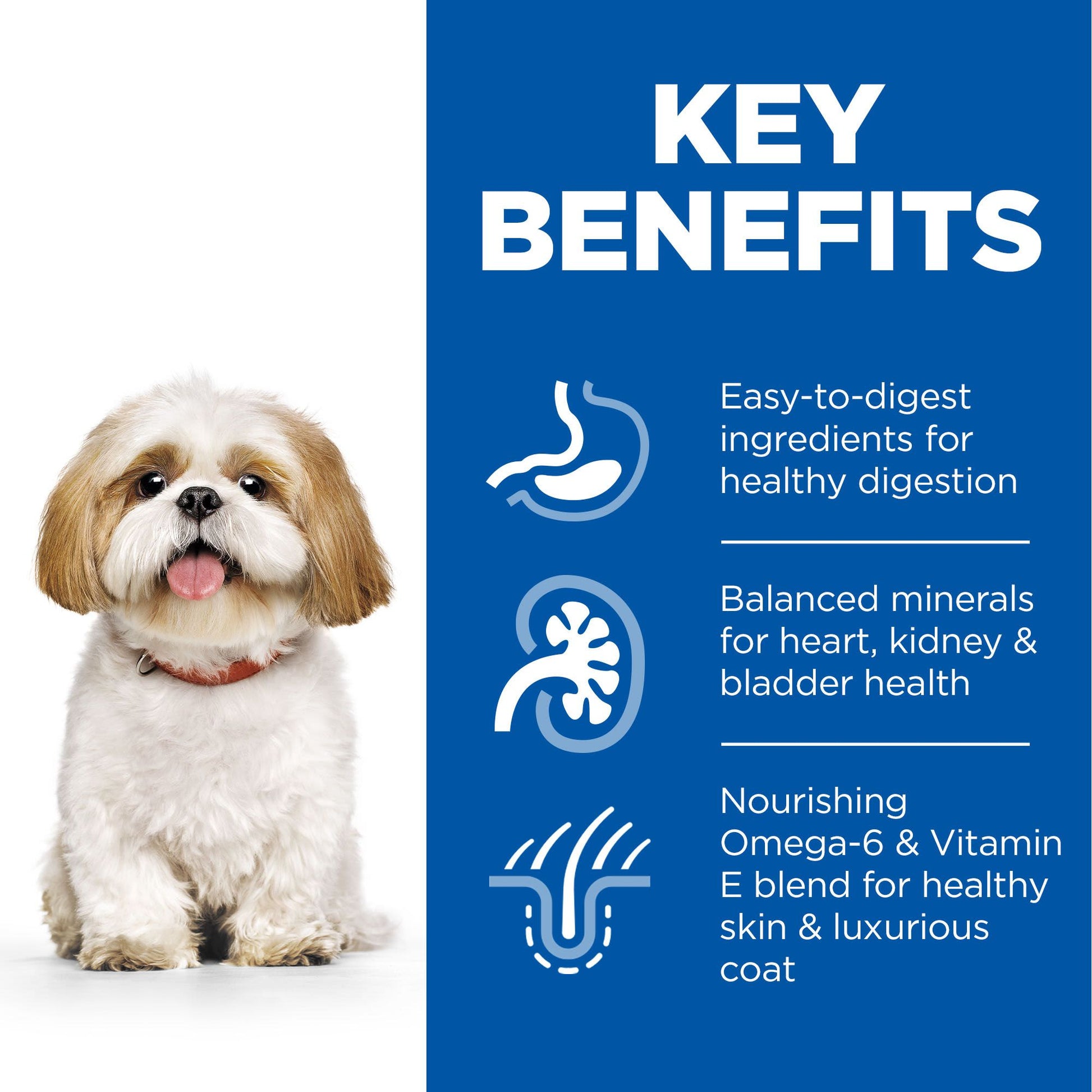 Hill's Science Plan Mature Adult Small & Mini Dry Dog Food with Chicken - 3kg