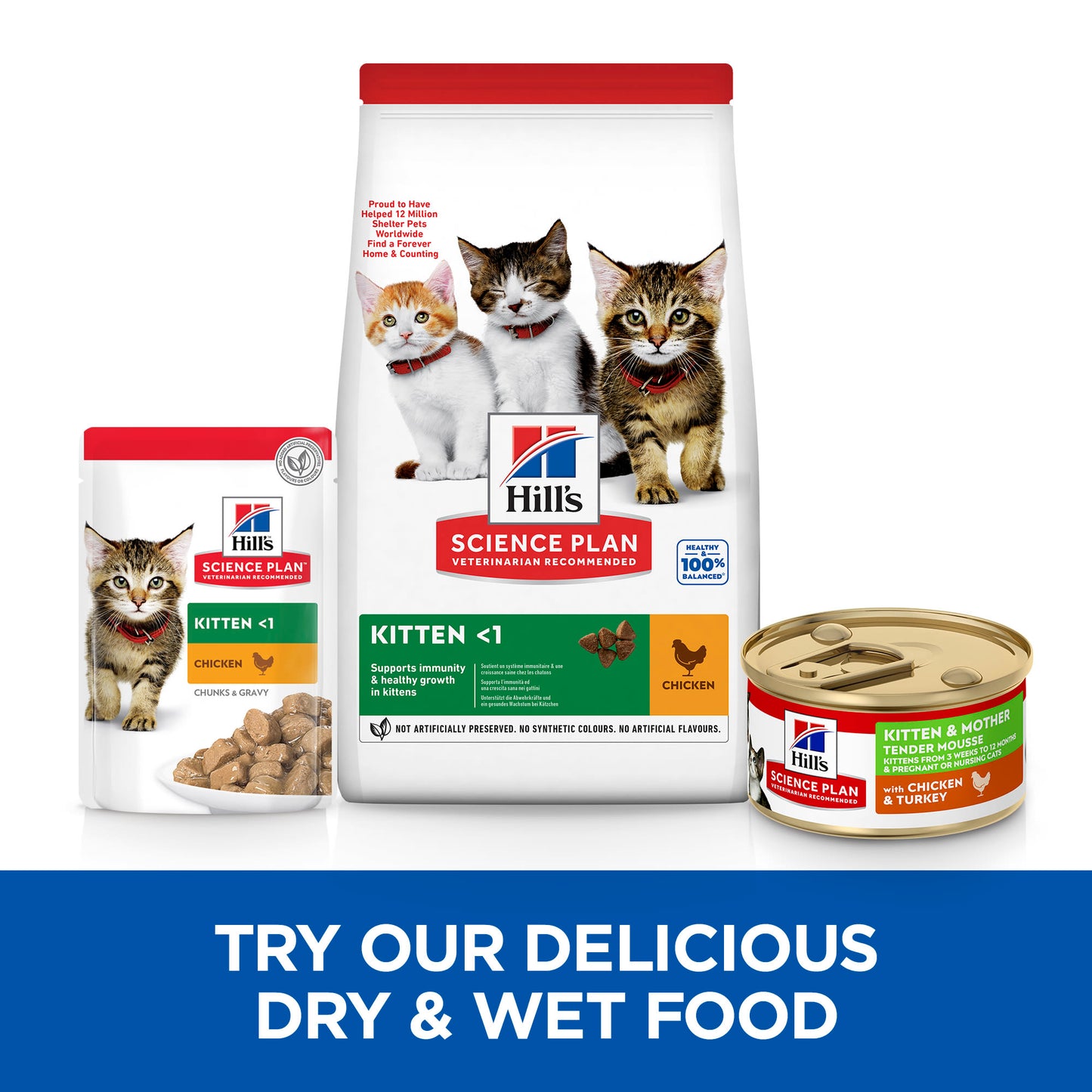 Hill's Science Plan Kitten & Mother Tender Mousse Wet Food with Chicken & Turkey - 24 x 85g Can