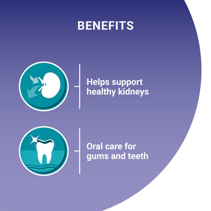 Purina One Senior 7+ Bifensis Chicken Dry Cat Food - 7.5kg